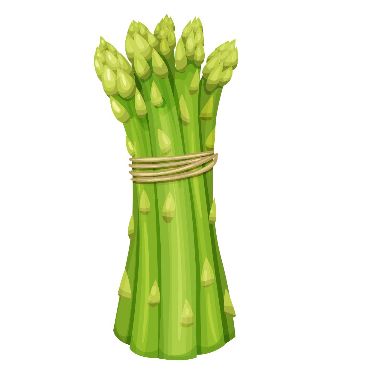 Asparagus