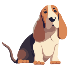 Basset Hound