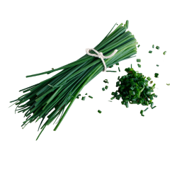 Chives