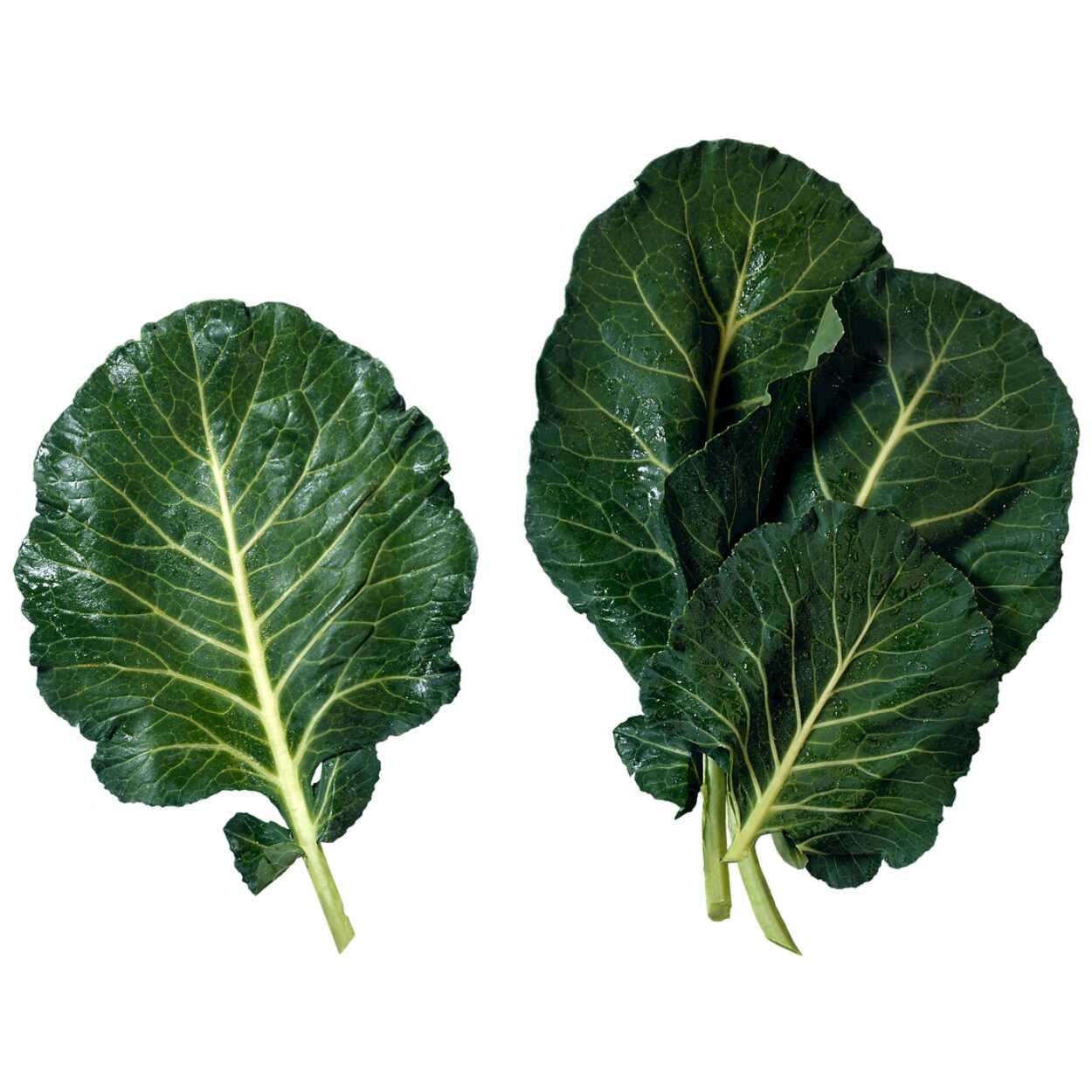 Collard greens