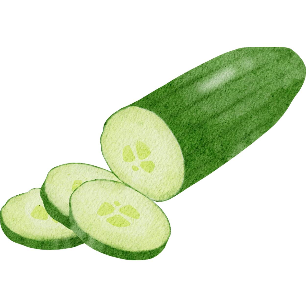 Cucumber