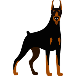 Doberman Pinscher