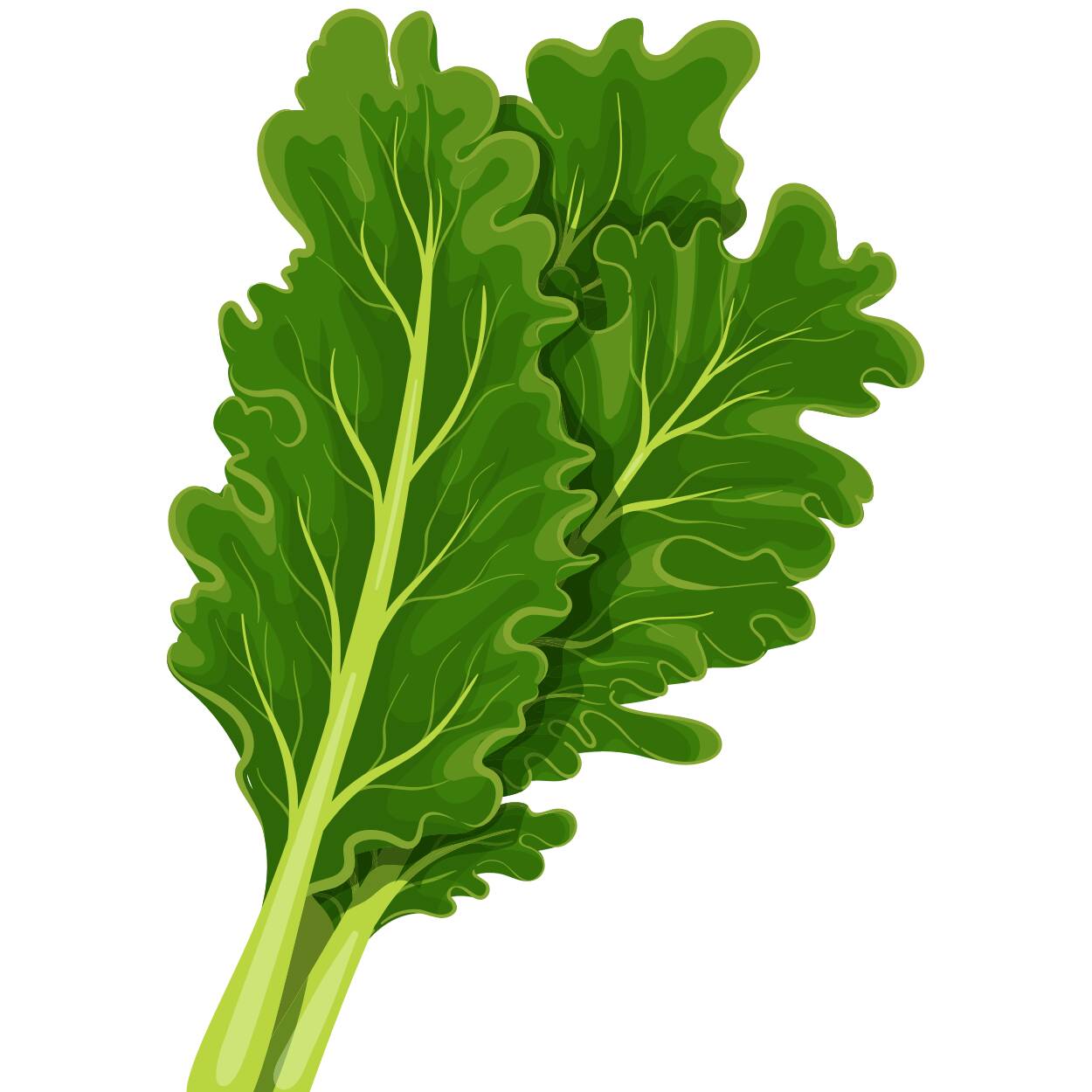 Kale