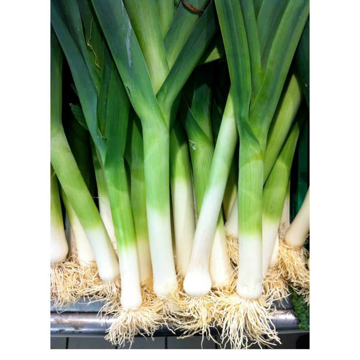 Leeks