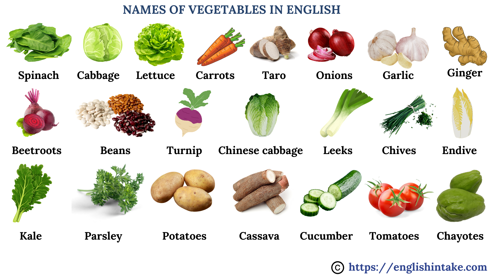 Names of vegetables in English