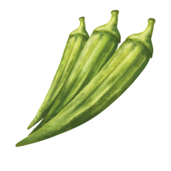 Okra (Lady's finger)