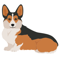 Pembroke Welsh Corgi