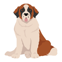 Saint Bernard