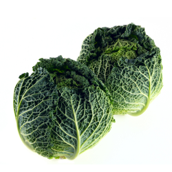 Savoy Cabbages