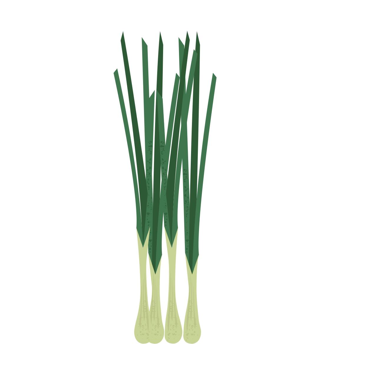 Spring onions