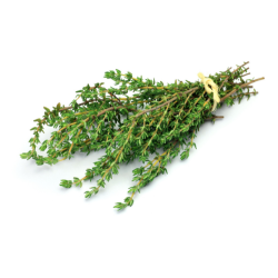 Thyme