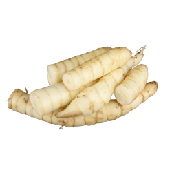 Arrowroot