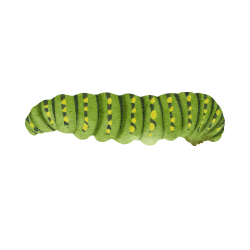 Caterpillar