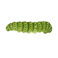 Caterpillar