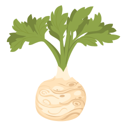 Celery root