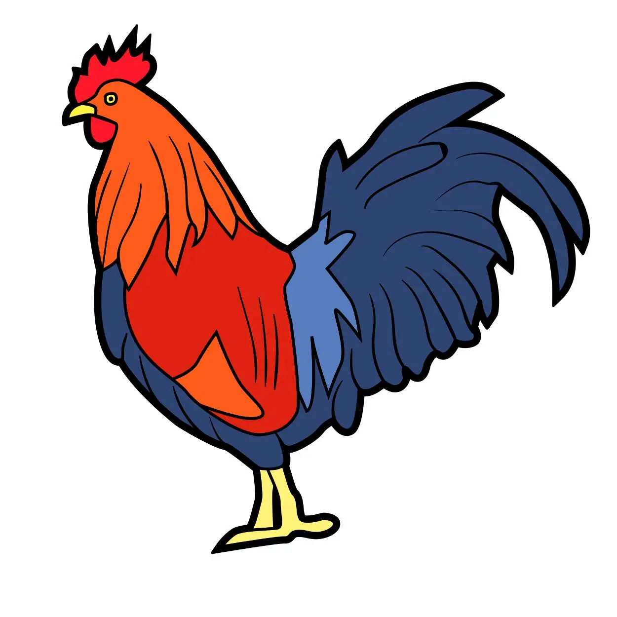 Cock