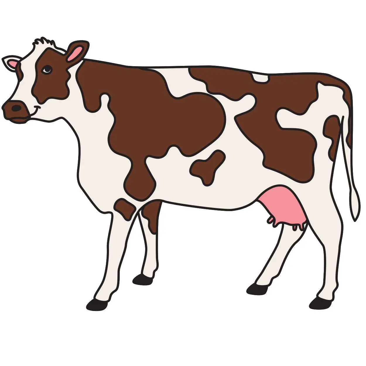 Cow