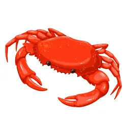 Crab