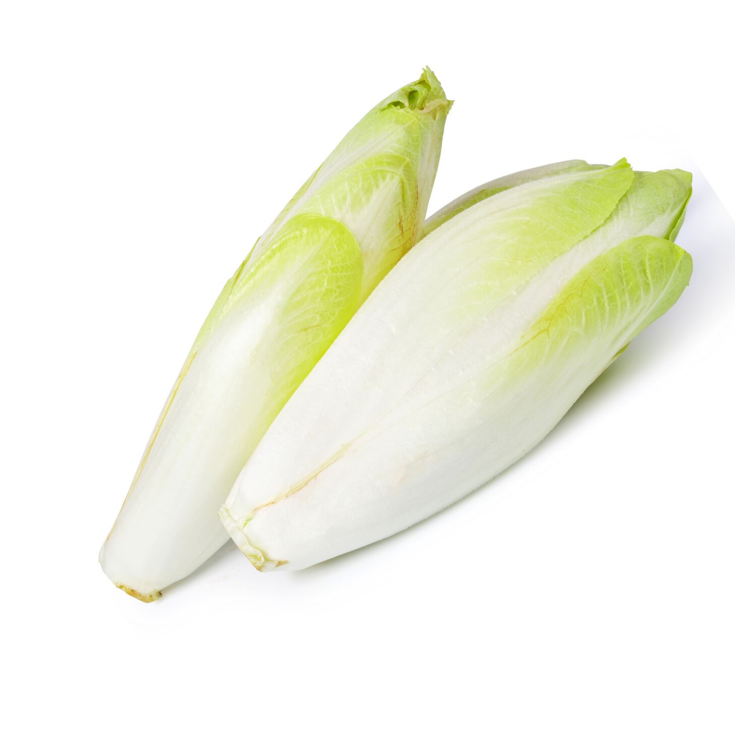 Endive