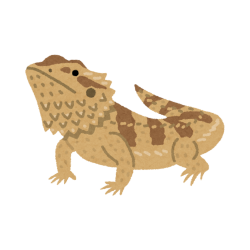 Horned lizard