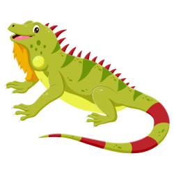 Iguana