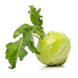 Kohlrabi