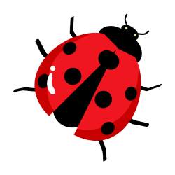 Ladybug