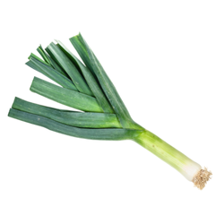 Leek