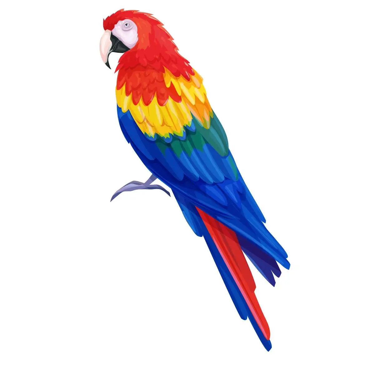 Parrot