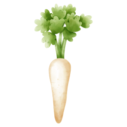 Parsnip