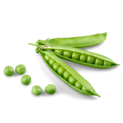 Peas