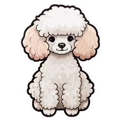 Poodle