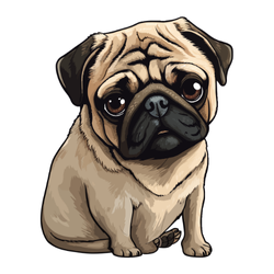 Pug