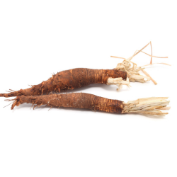 Salsify