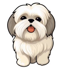 Shih Tzu