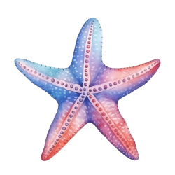 Starfish