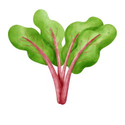 Swiss chard