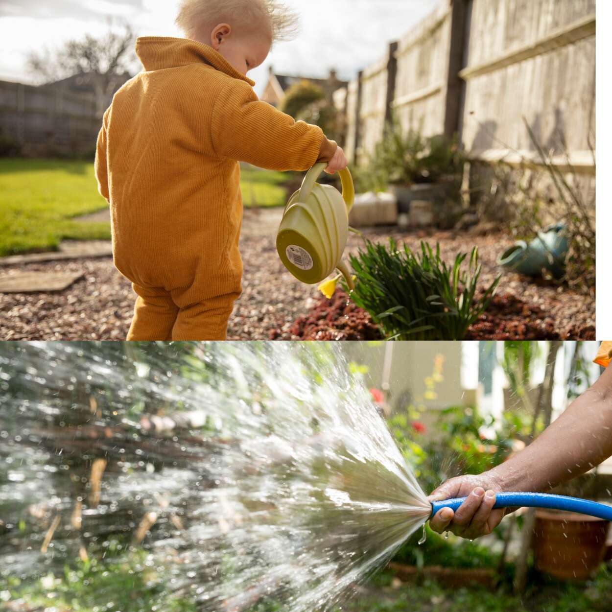 Watering the garden