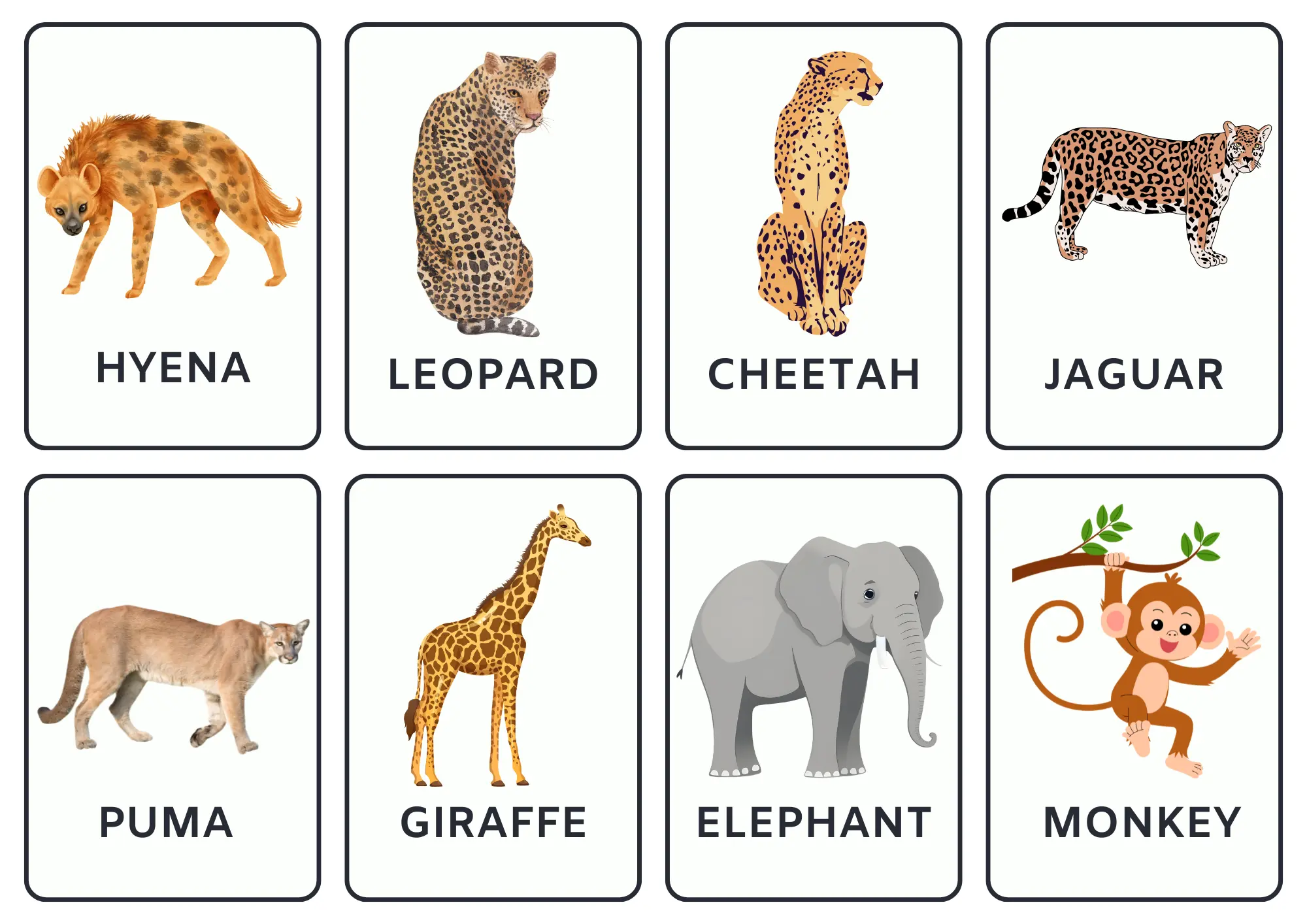 Animals flashcards for kids and ESL students - slide4