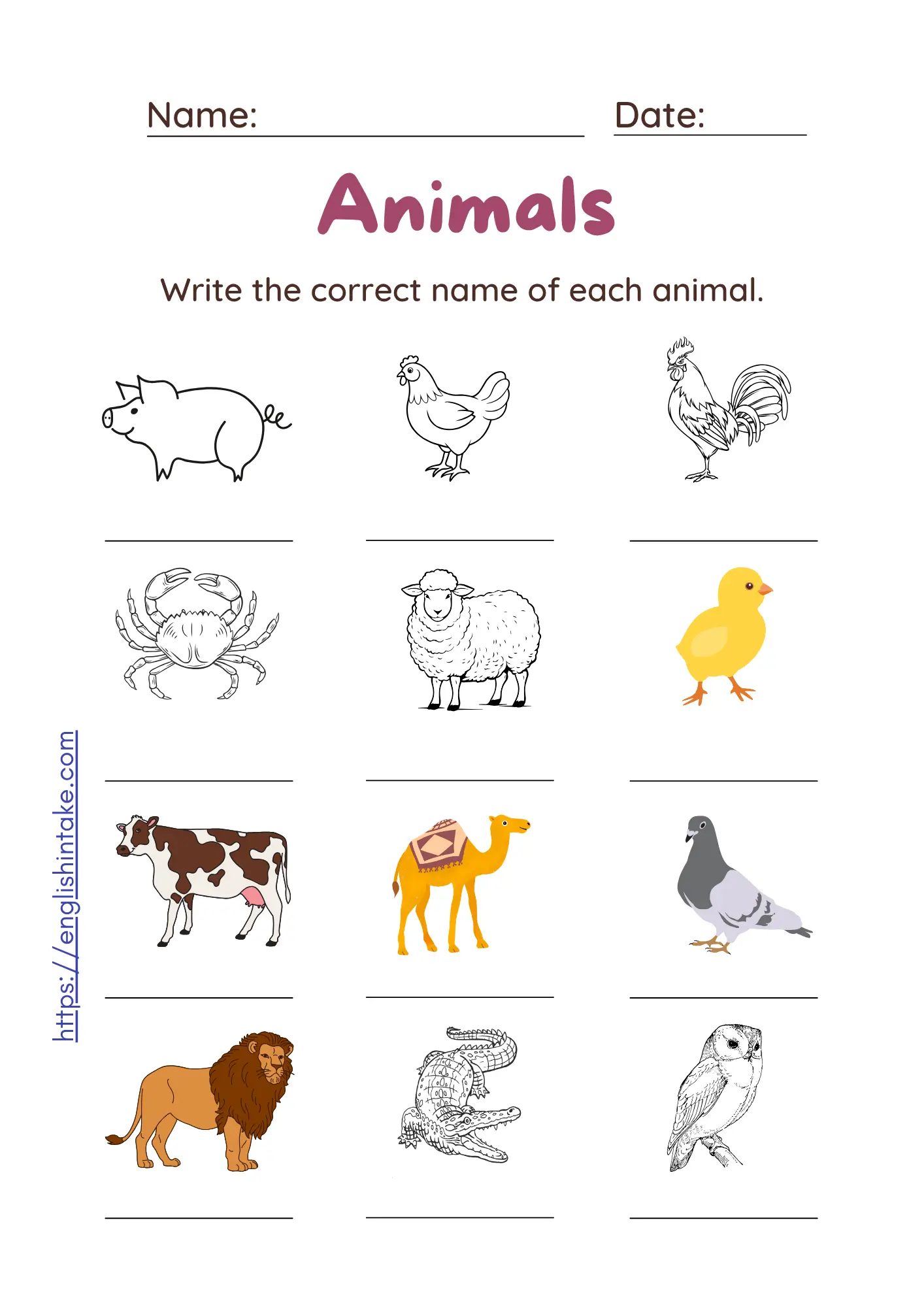 List of 12 animals to name - ESL vocabulary exercise