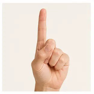 A raised finger for English body part vocabulary learners.