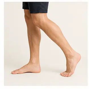 A human leg for English body part vocabulary learners.