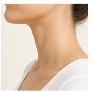A human neck for English body part vocabulary learners.