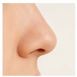 A close-up of a nose for English body part vocabulary learners.