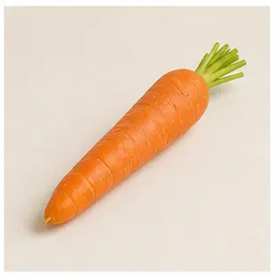 A carrot for English food vocabulary learners.