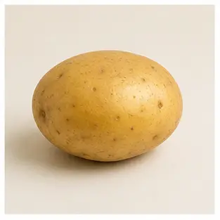 A potato for English food vocabulary learners.