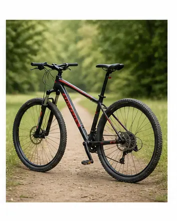 A bike for English transport vocabulary learners.