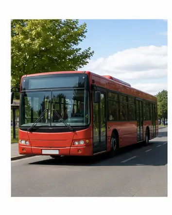 A bus on a road for English transport vocabulary learners.