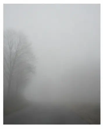 A foggy road for English weather vocabulary learners.