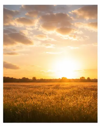 A warm sunset over a field for English weather vocabulary learners.